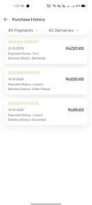 payment history